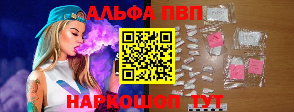 Alfa_PVP СК Кингисепп